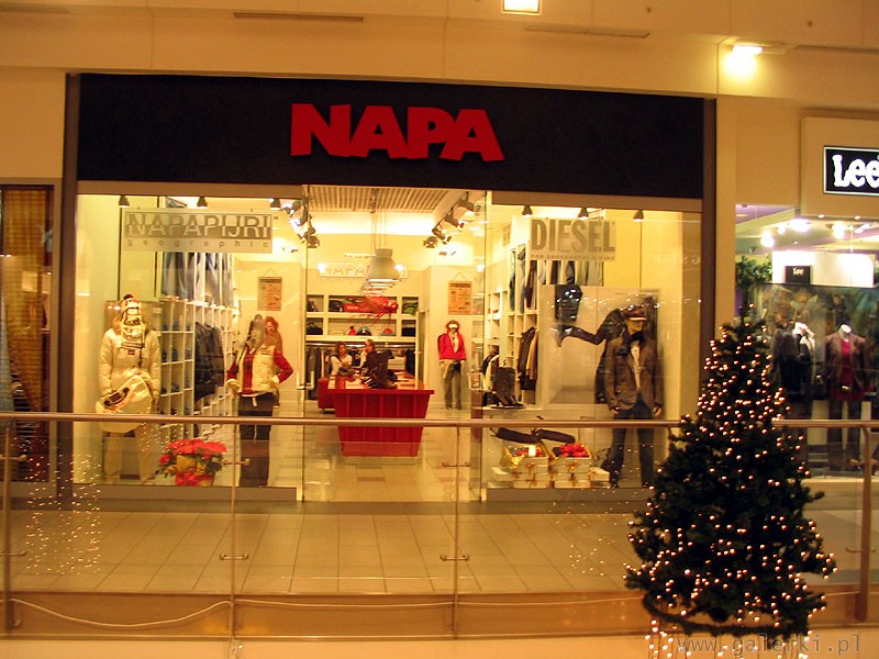 Napa ubrania/moda marek Diesel (una bianca e una blu) oraz Napapijri